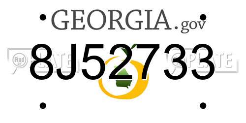 8J52733 Georgia License Plate