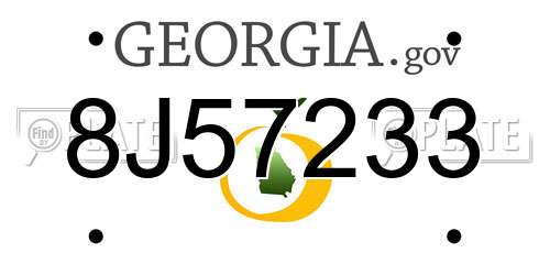 8J57233 Georgia License Plate