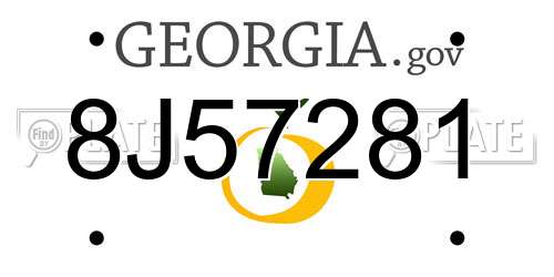 8J57281 Georgia License Plate