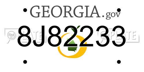 8J82233 Georgia License Plate