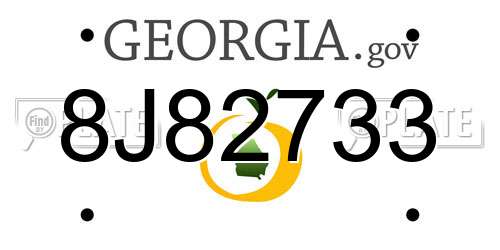 8J82733 Georgia License Plate