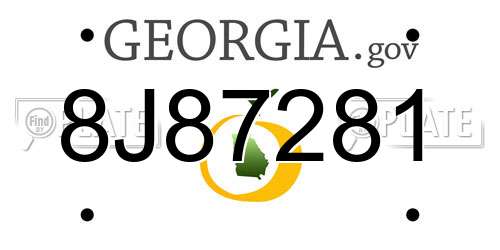 8J87281 Georgia License Plate