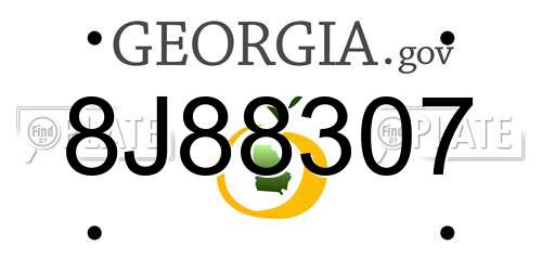 8J88307 Georgia License Plate