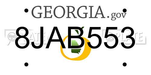 8JAB553 Georgia License Plate
