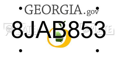 8JAB853 Georgia License Plate