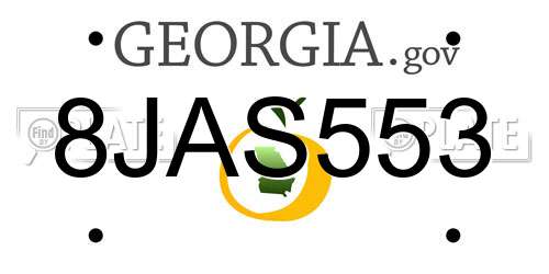 8JAS553 Georgia License Plate