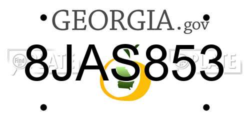 8JAS853 Georgia License Plate