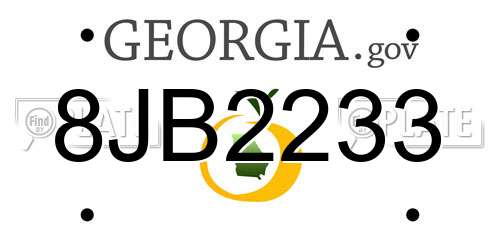 8JB2233 Georgia License Plate