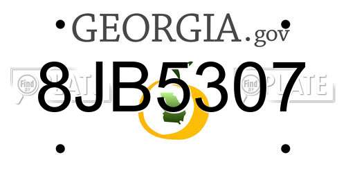 8JB5307 Georgia License Plate