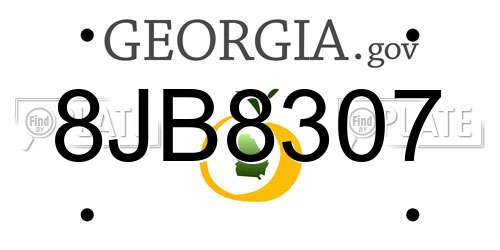 8JB8307 Georgia License Plate
