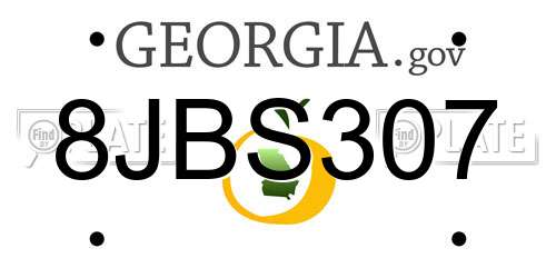 8JBS307 Georgia License Plate