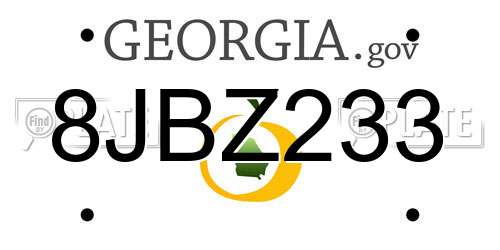 8JBZ233 Georgia License Plate