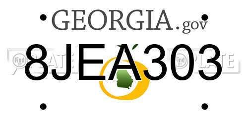 8JEA303 Georgia License Plate