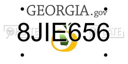 8JIE656 Georgia License Plate