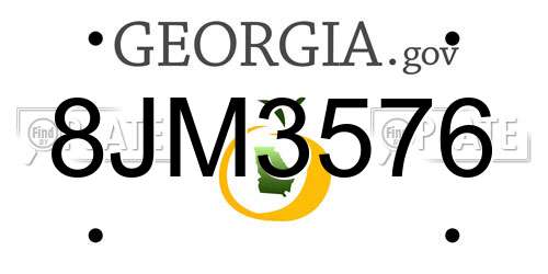8JM3576 Georgia License Plate