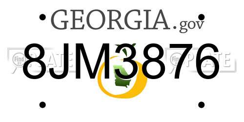 8JM3876 Georgia License Plate