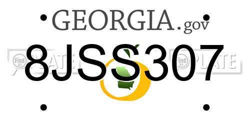 8JSS307 Georgia License Plate