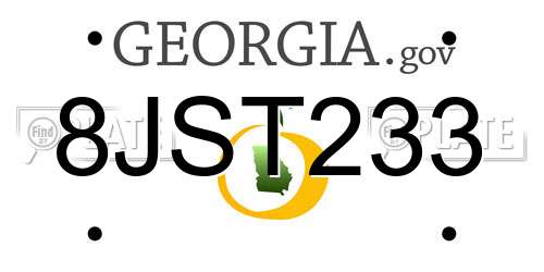 8JST233 Georgia License Plate