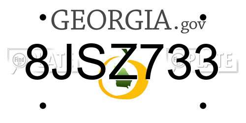8JSZ733 Georgia License Plate