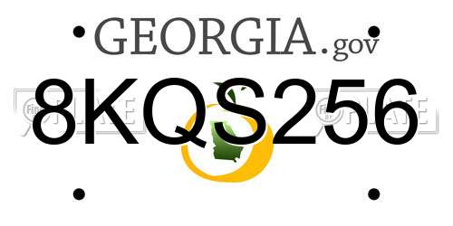 8KQS256 Georgia License Plate
