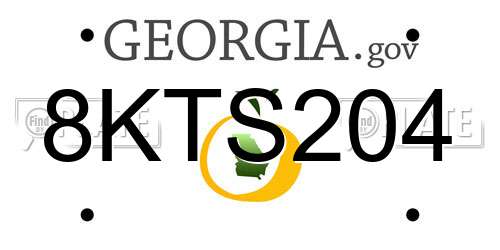 8KTS204 Georgia License Plate