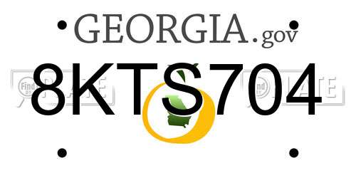 8KTS704 Georgia License Plate