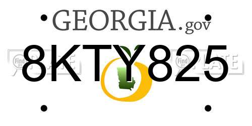 8KTY825 Georgia License Plate