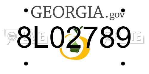 8L02789 Georgia License Plate