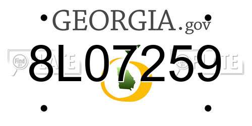 8L07259 Georgia License Plate