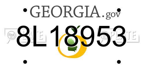 8L18953 Georgia License Plate