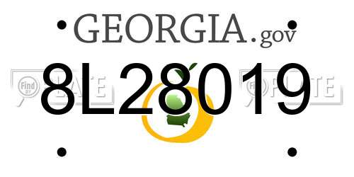 8L28019 Georgia License Plate