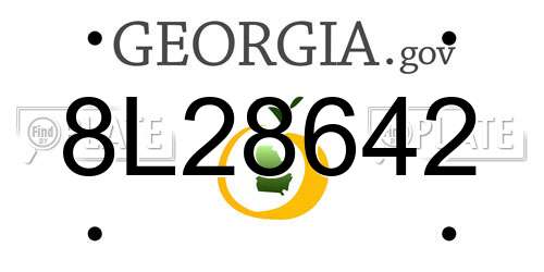 8L28642 Georgia License Plate