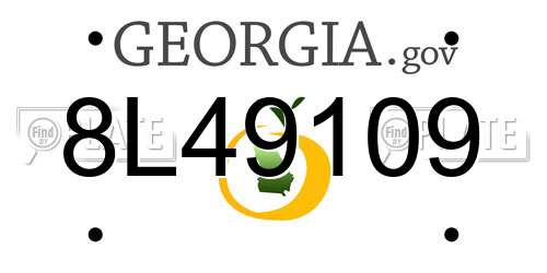 8L49109 Georgia License Plate