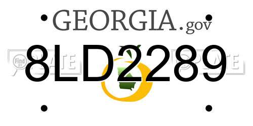 8LD2289 Georgia License Plate