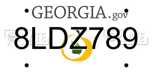 8LDZ789 Georgia License Plate