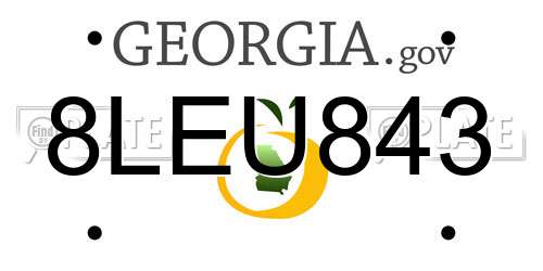 8LEU843 Georgia License Plate