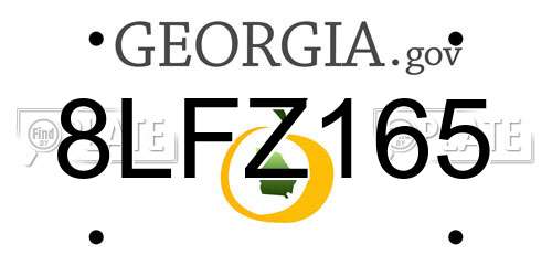 8LFZ165 Georgia License Plate