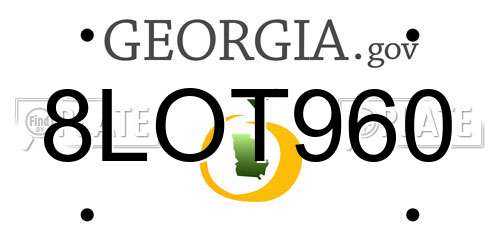 8LOT960 Georgia License Plate