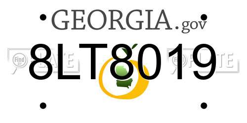 8LT8019 Georgia License Plate
