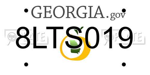 8LTS019 Georgia License Plate