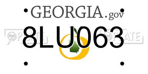 8LU063 Georgia License Plate