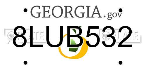 8LUB532 Georgia License Plate