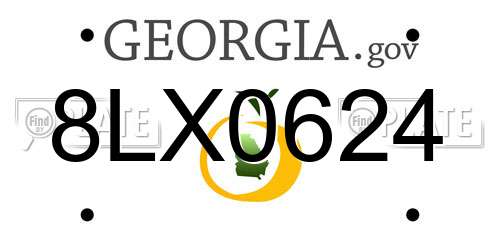 8LX0624 Georgia License Plate