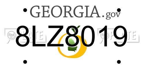 8LZ8019 Georgia License Plate