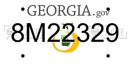 8M22329 Georgia License Plate