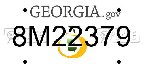8M22379 Georgia License Plate
