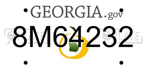 8M64232 Georgia License Plate