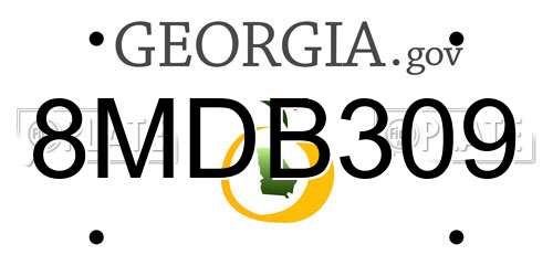 8MDB309 Georgia License Plate