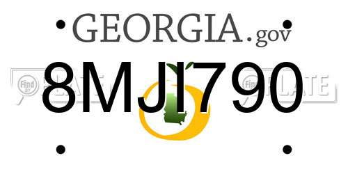 8MJI790 Georgia License Plate