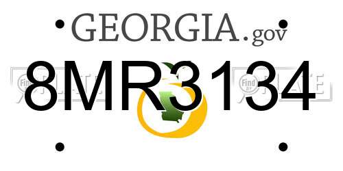 8MR3134 Georgia License Plate